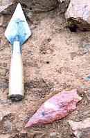 In situ